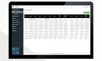 Financial Analysis Report Panel